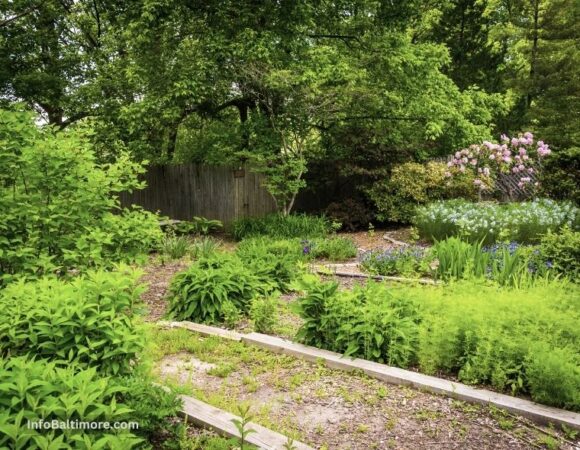 Cylburn Arboretum Trail