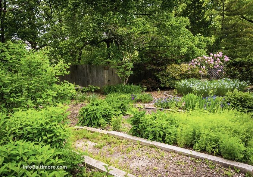 InfoBaltimore-Post-Feature-Image-Cylburn-Arboretum-Trail