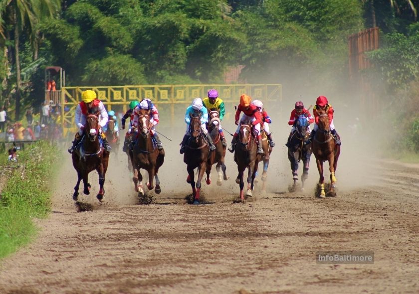 The Ultimate Guide to the Preakness Stakes in Baltimore: History, Attractions, and Fun Facts