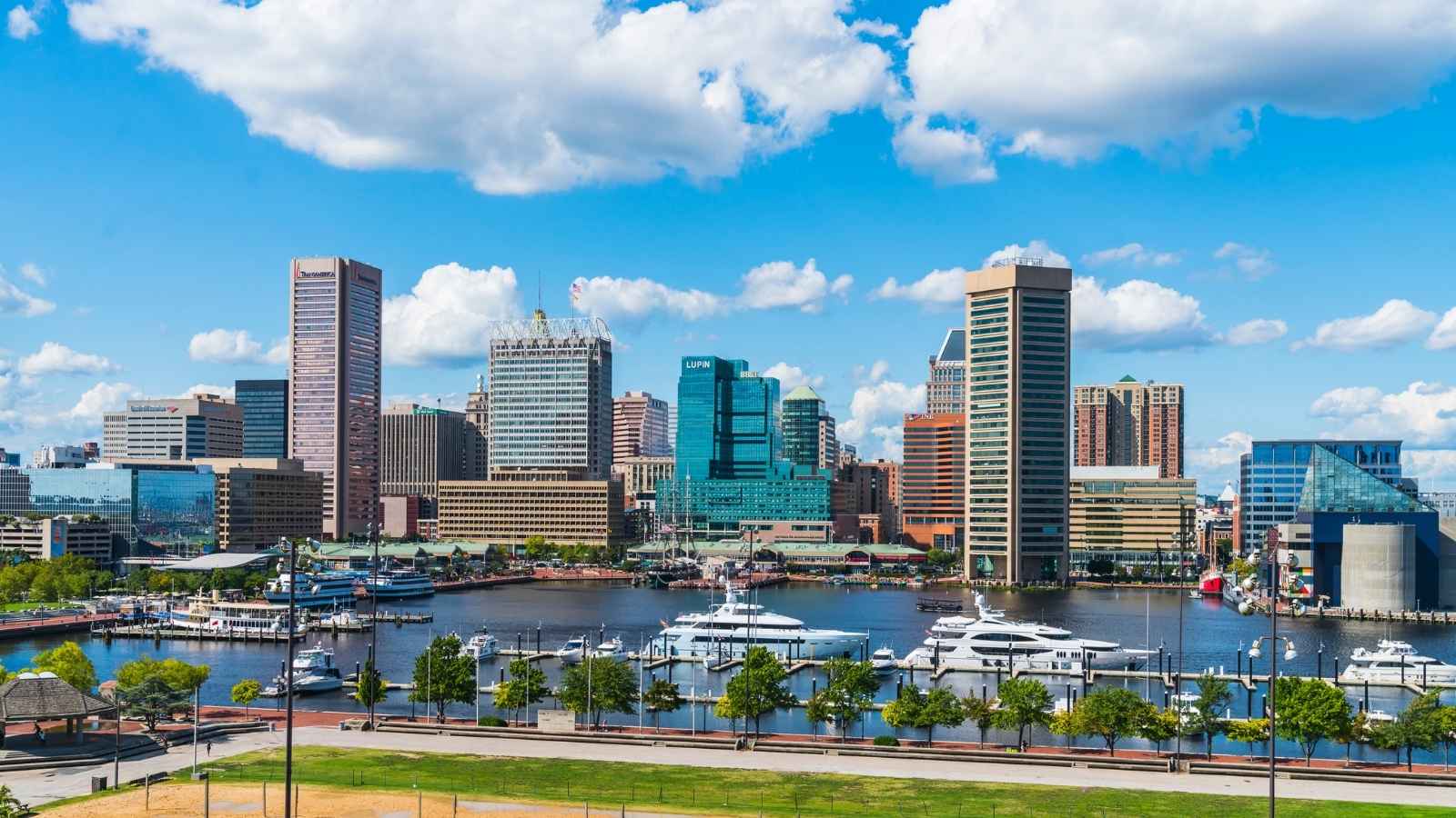 Weird Things to Do in Baltimore That Locals Actually Love