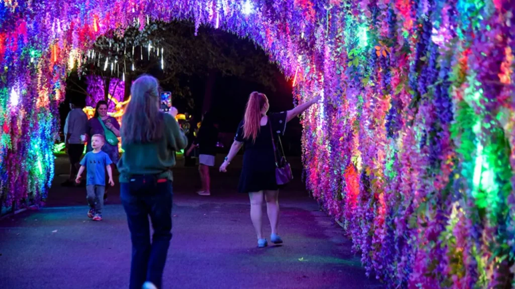 Baltimore Zoo Lights